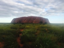 Northern Territory - Uluru - Ayers Rock